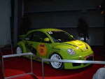 beetle